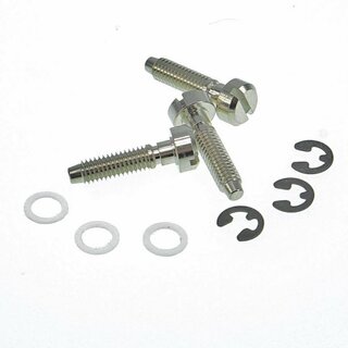 SS-NG, Saddles Replacement screw, Brass, nickel plat, gloss, (3p